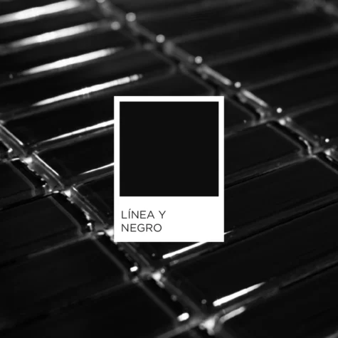 LÍNEA Y - 100% VIDRIO