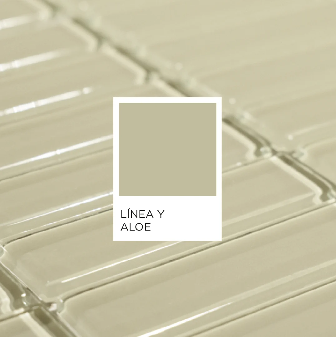 Línea Y - Aloe 100% vidrio